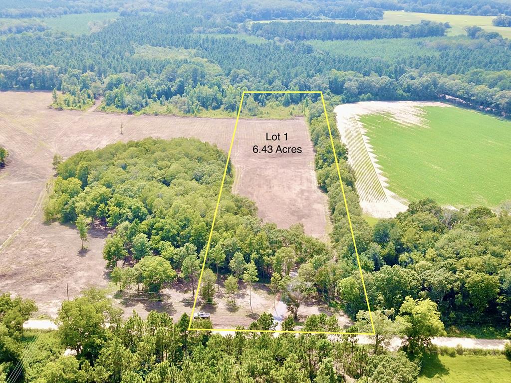 L1 New Hinson Road Slocomb, AL 36375 - Photo 1 of 30