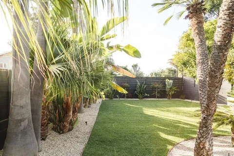 a view of a yard with palm trees