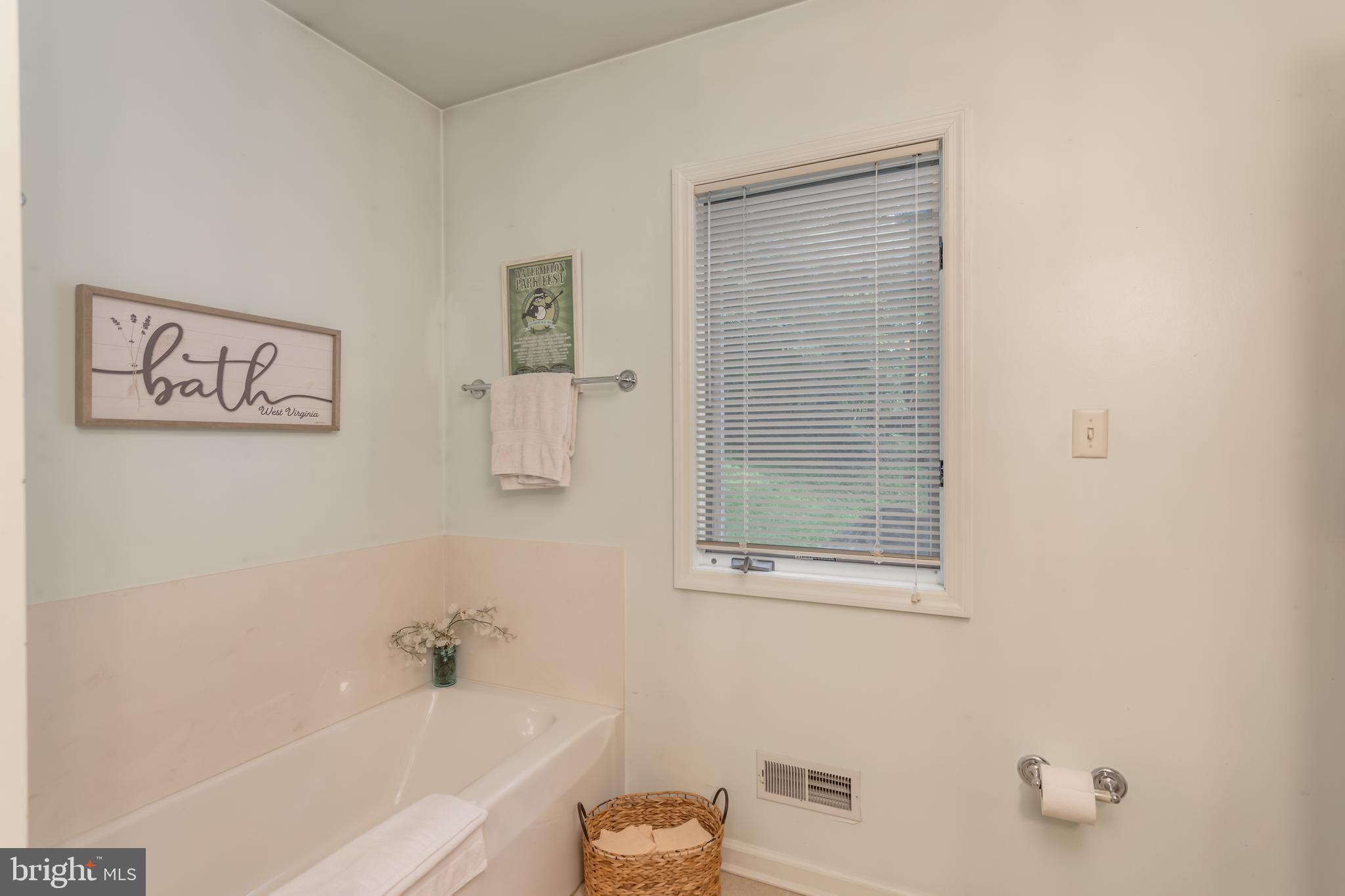 379 Wintergreen Way Berkeley Springs, WV 25411 - Photo 15 of 55 a bathroom with a bathtub and a shower