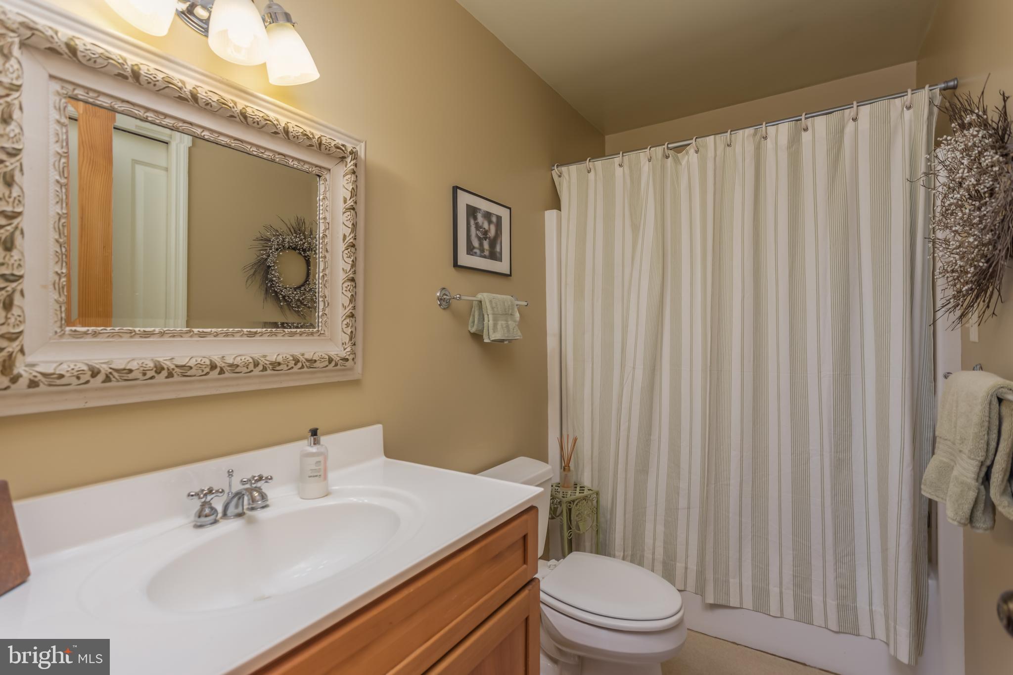 379 Wintergreen Way Berkeley Springs, WV 25411 - Photo 20 of 55 a bathroom with a sink a toilet and shower curtain