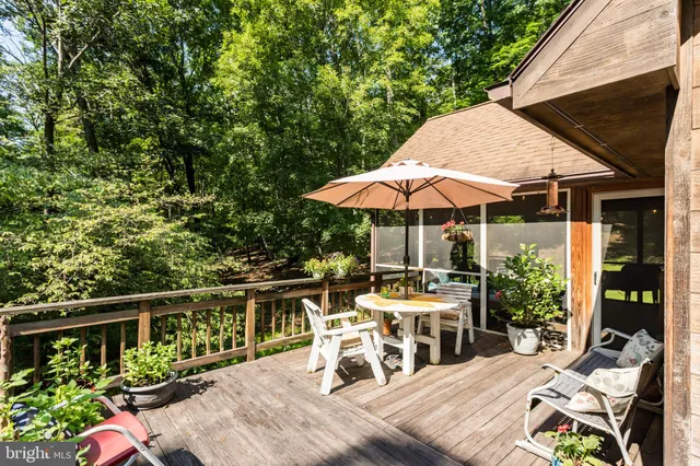 a view of a garden with an umbrella