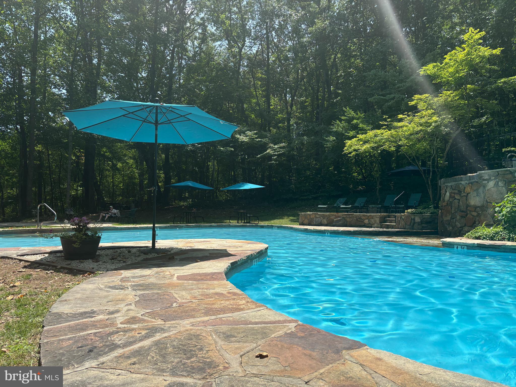 379 Wintergreen Way Berkeley Springs, WV 25411 - Photo 46 of 55 a swimming pool with lots of tress in outdoor space