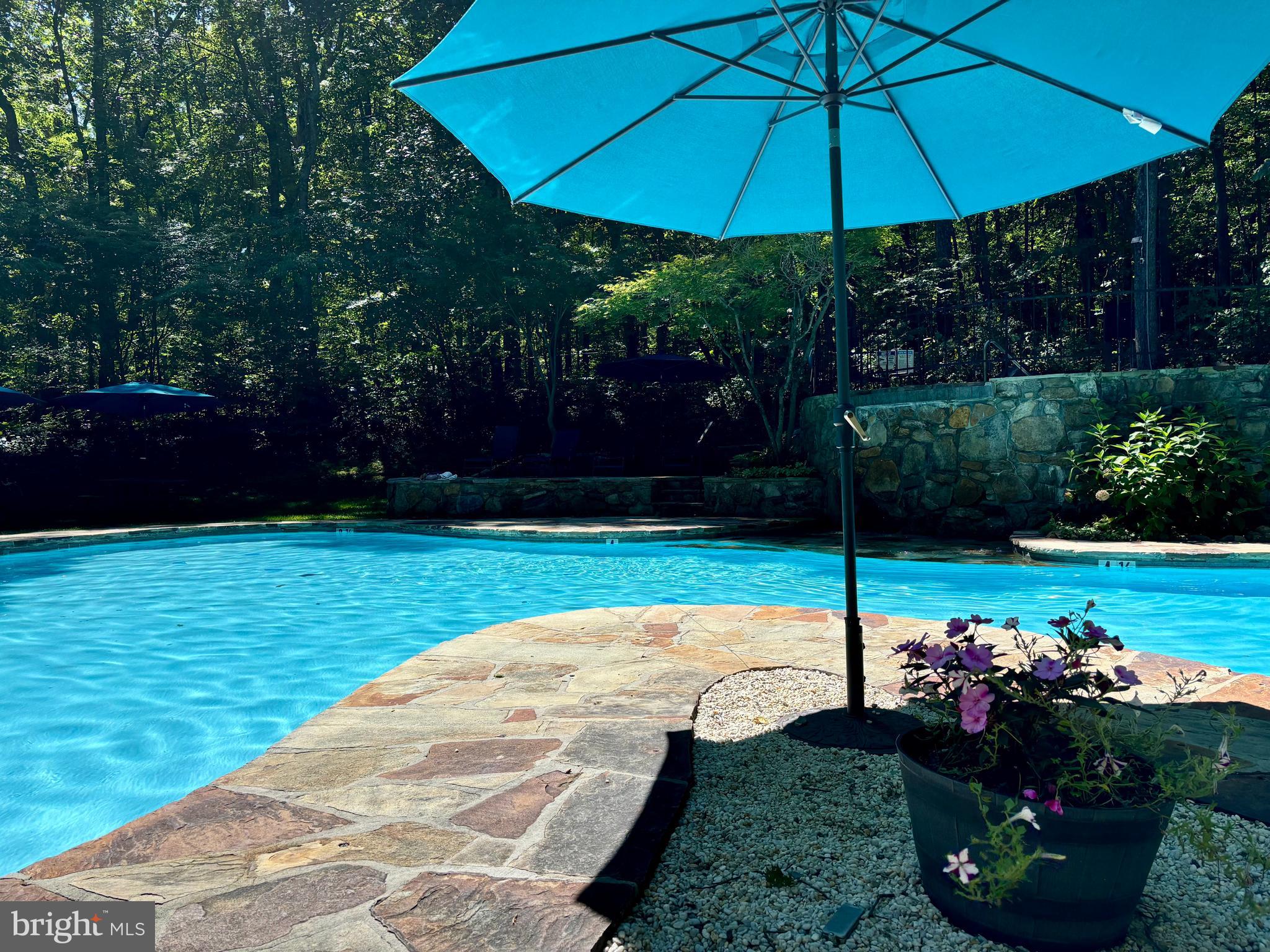 379 Wintergreen Way Berkeley Springs, WV 25411 - Photo 47 of 55 a view of a garden with an umbrella