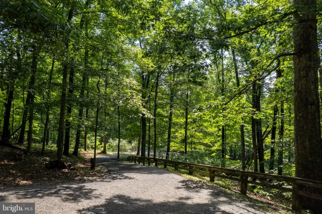 a front view of a house with yard and green space