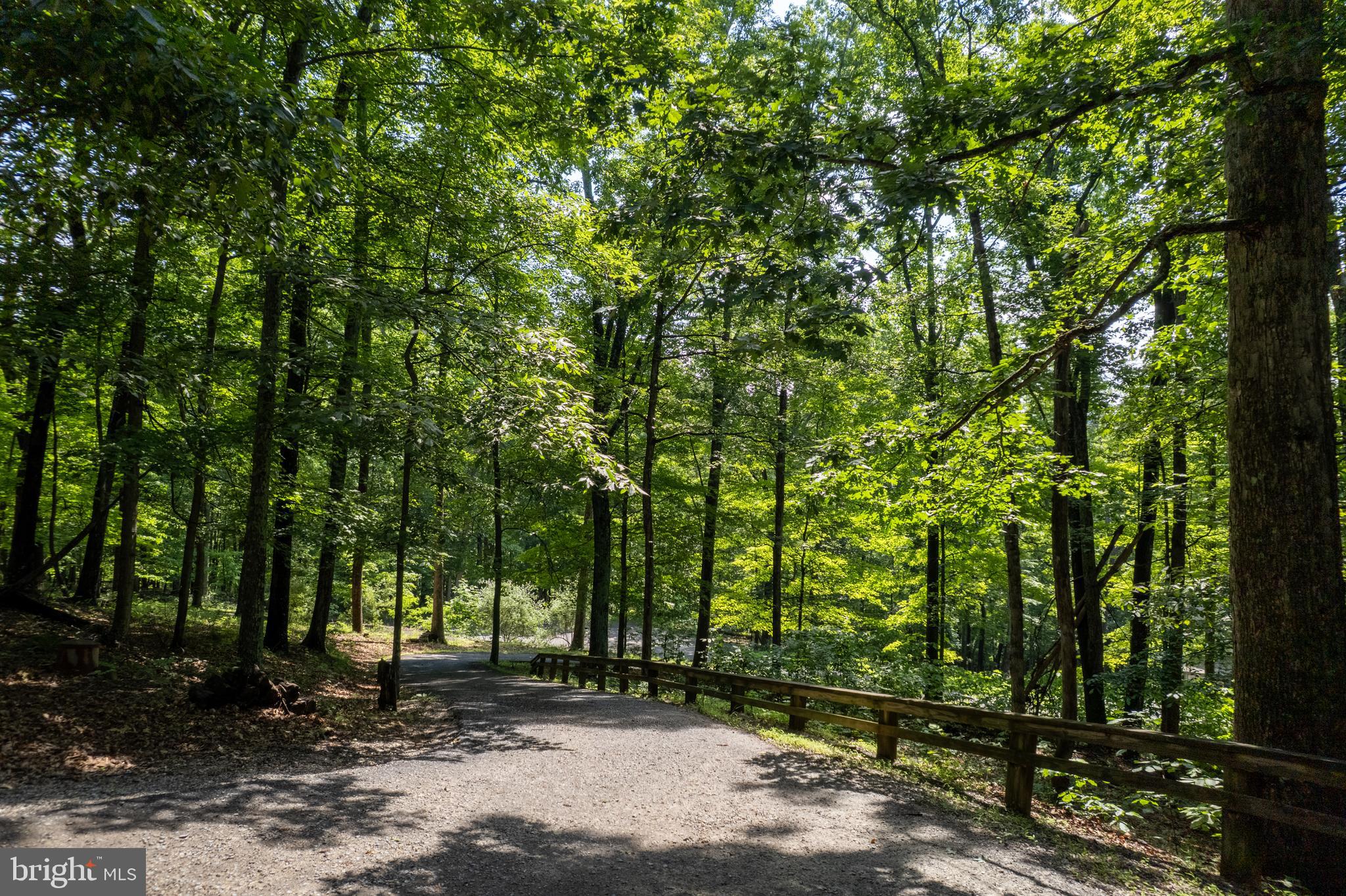 379 Wintergreen Way Berkeley Springs, WV 25411 - Photo 48 of 55 a pathway of a yard