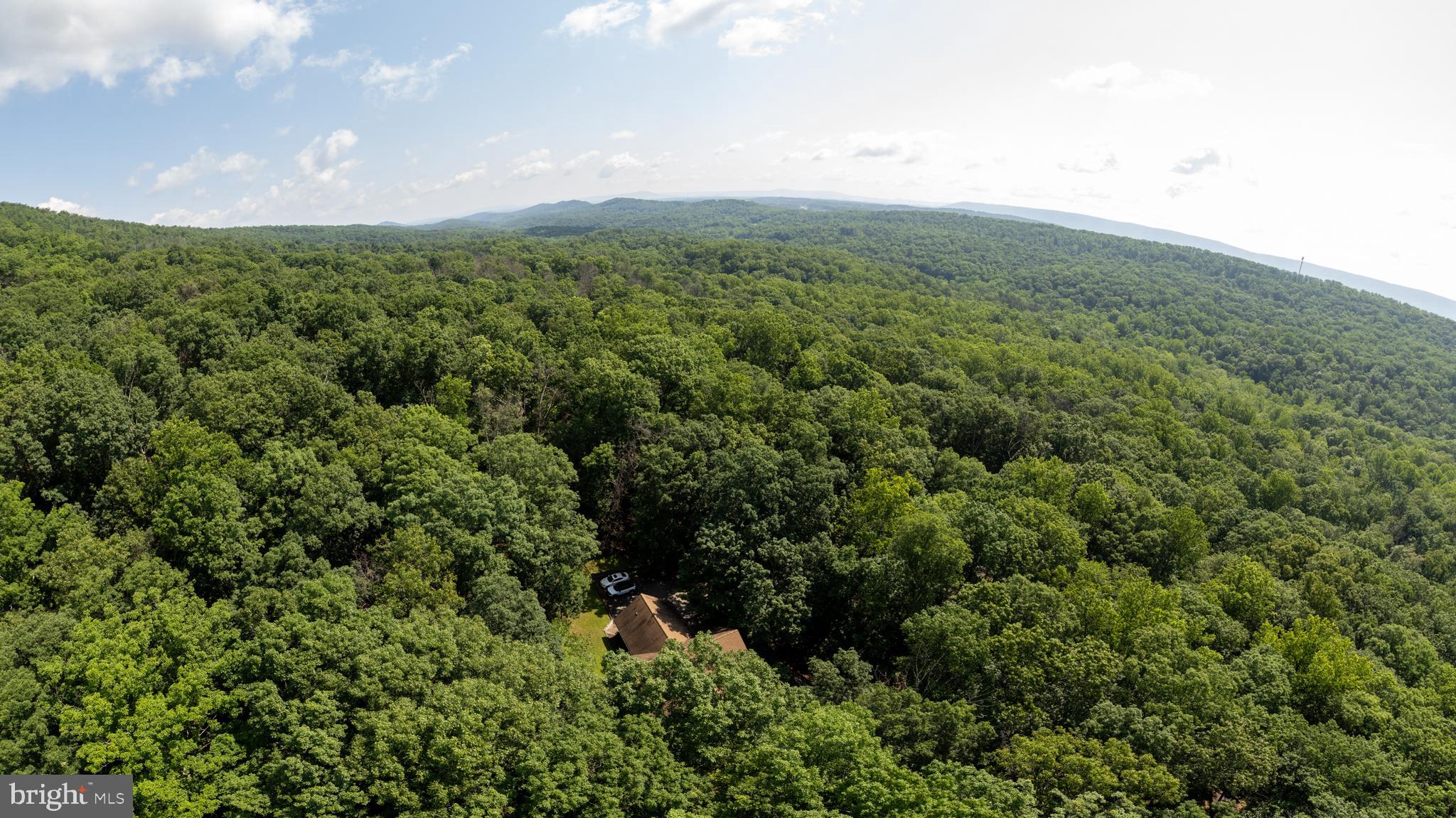 379 Wintergreen Way Berkeley Springs, WV 25411 - Photo 49 of 55 a view of a green field with lots of bushes