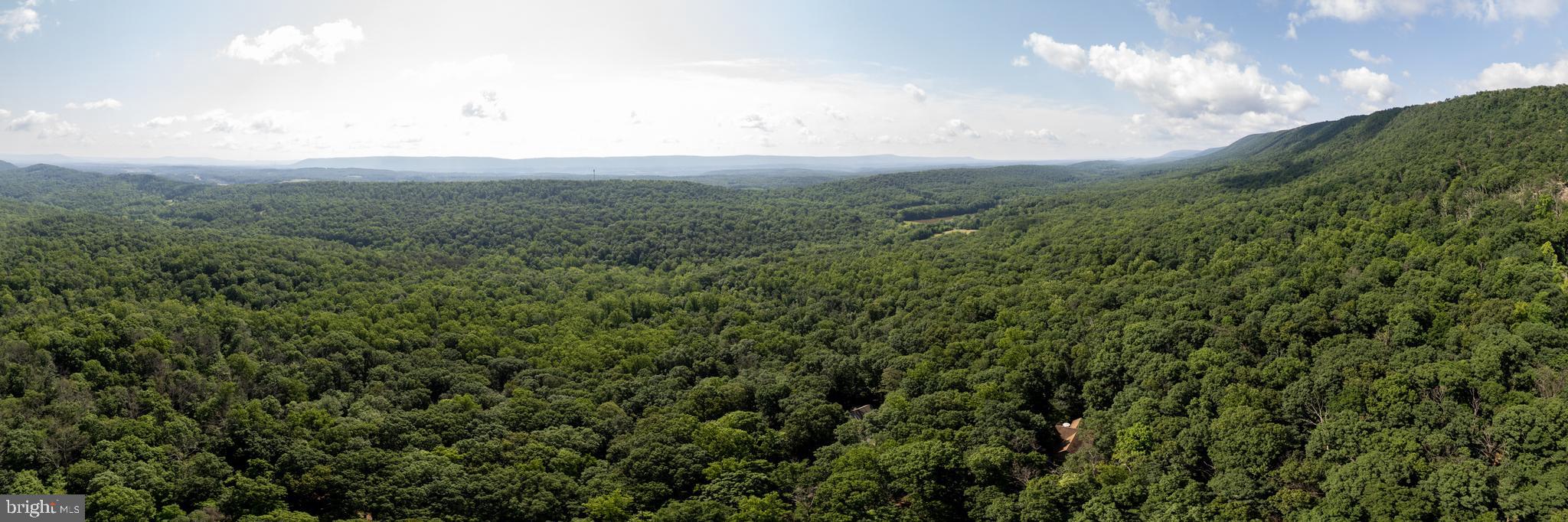 379 Wintergreen Way Berkeley Springs, WV 25411 - Photo 51 of 55 a view of a big yard with lots of green space