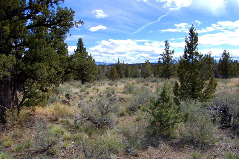 7400 Crow Road Prineville, OR 97754 - Photo 3 of 12 DSC_3618