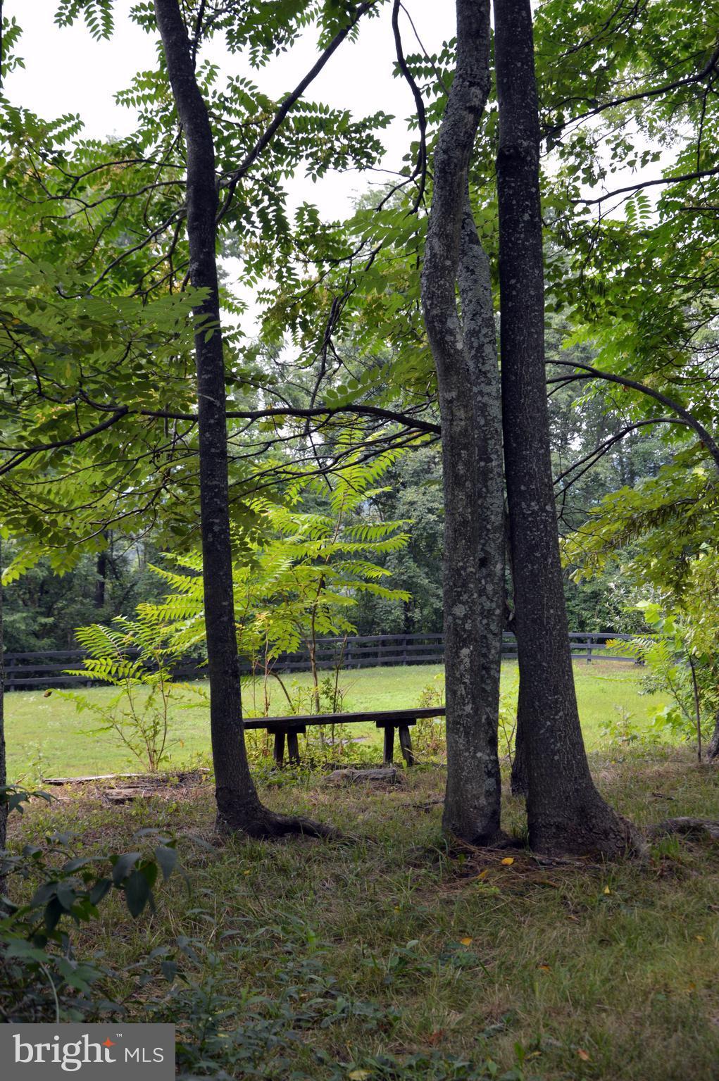 11420 Pleasant Vale Road Markham, VA 22643 - Photo 11 of 30 Park-Like Grounds overlooking Riding Arena