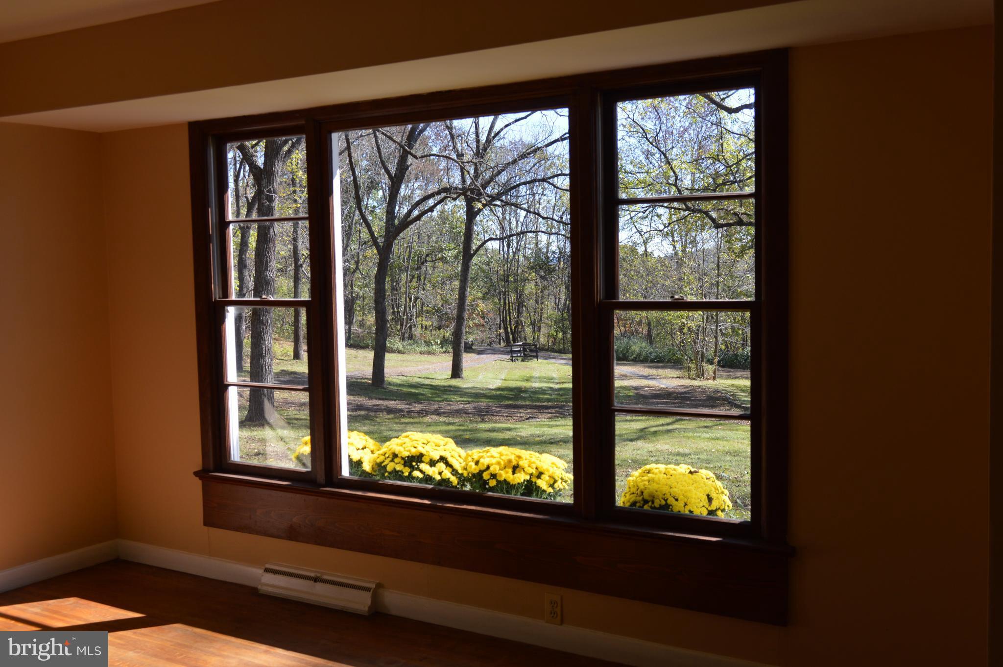 11420 Pleasant Vale Road Markham, VA 22643 - Photo 26 of 30 View from the Living Room