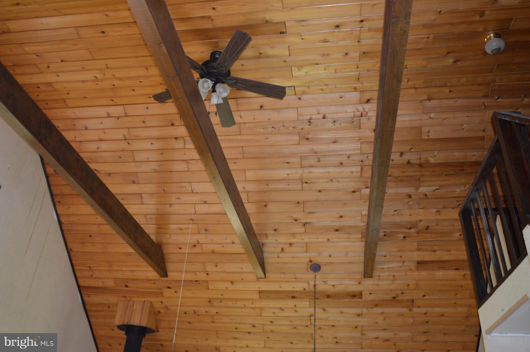 11420 Pleasant Vale Road Markham, VA 22643 - Photo 29 of 30 Guest Cottage Ceiling