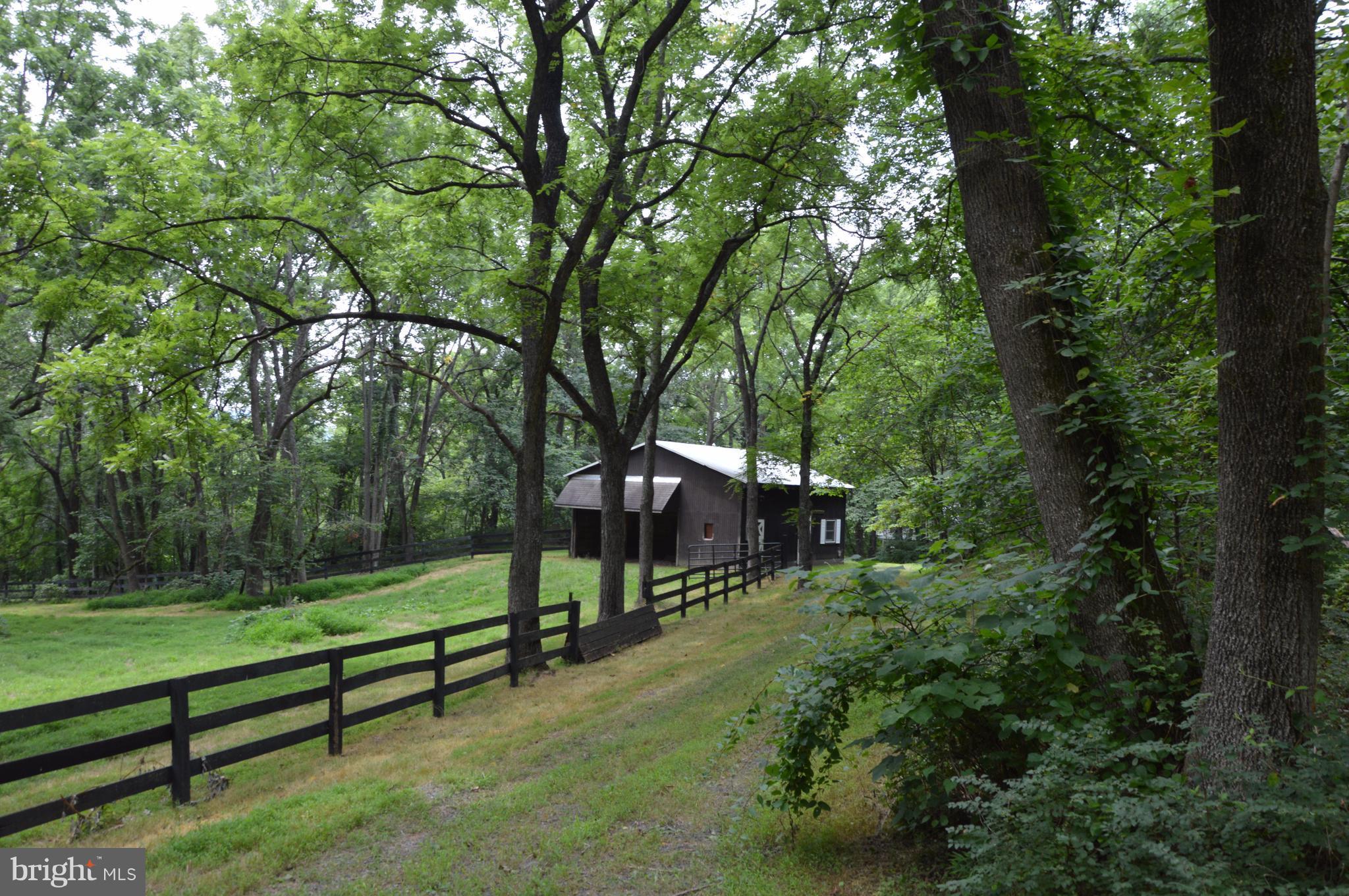 11420 Pleasant Vale Road Markham, VA 22643 - Photo 8 of 30 View from the Guest Cottage