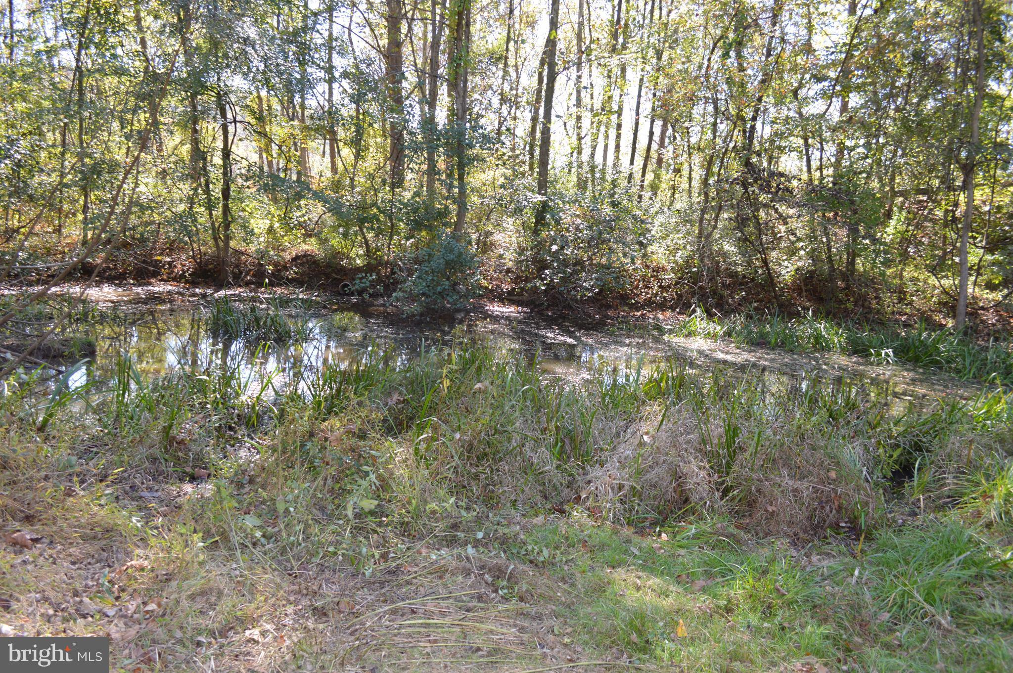 11420 Pleasant Vale Road Markham, VA 22643 - Photo 9 of 30 Pond