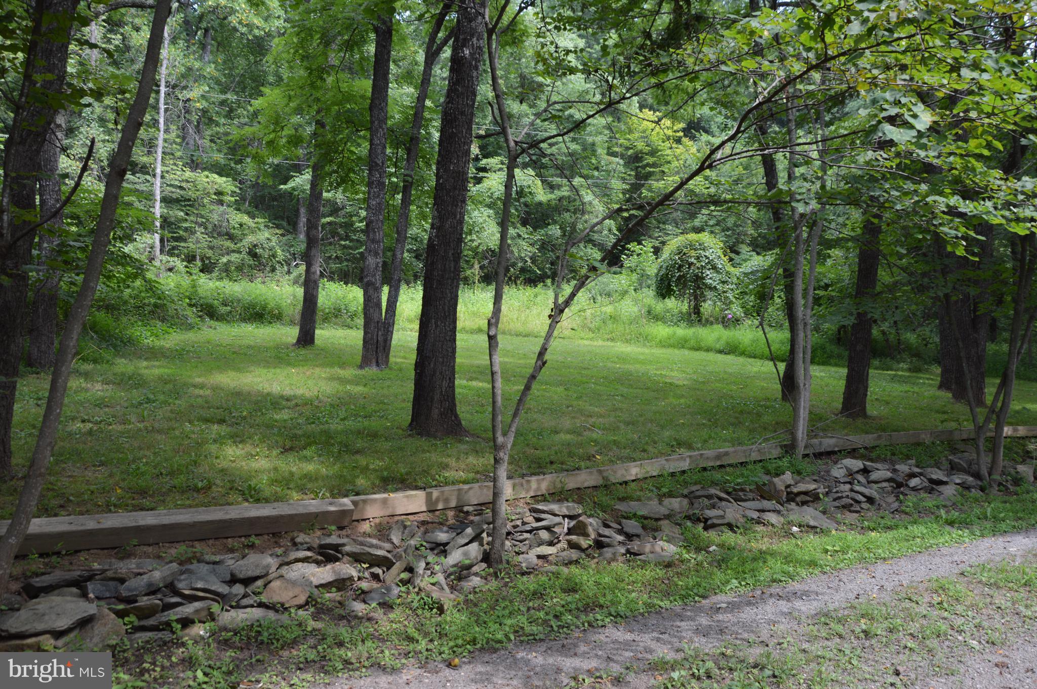 11420 Pleasant Vale Road Markham, VA 22643 - Photo 10 of 30 View from the Dining Room toward rear of property