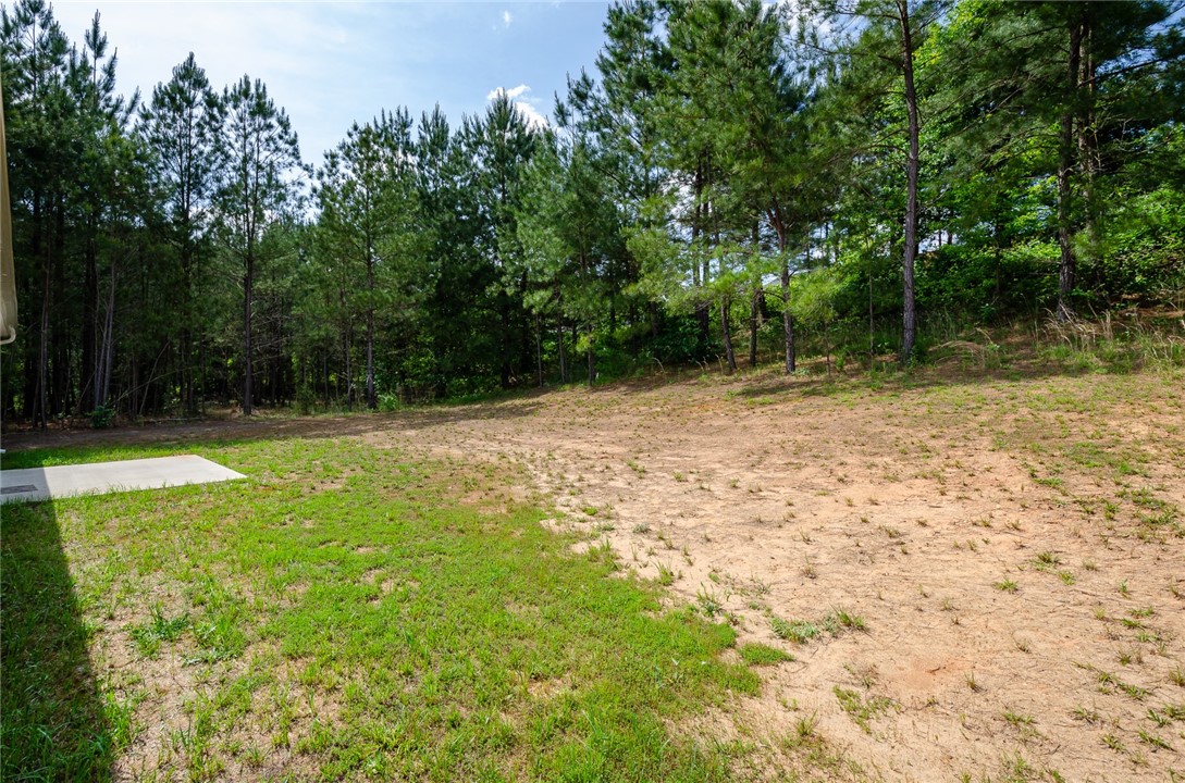 102 Buteos Way Anderson, SC 29621 - Photo 24 of 24