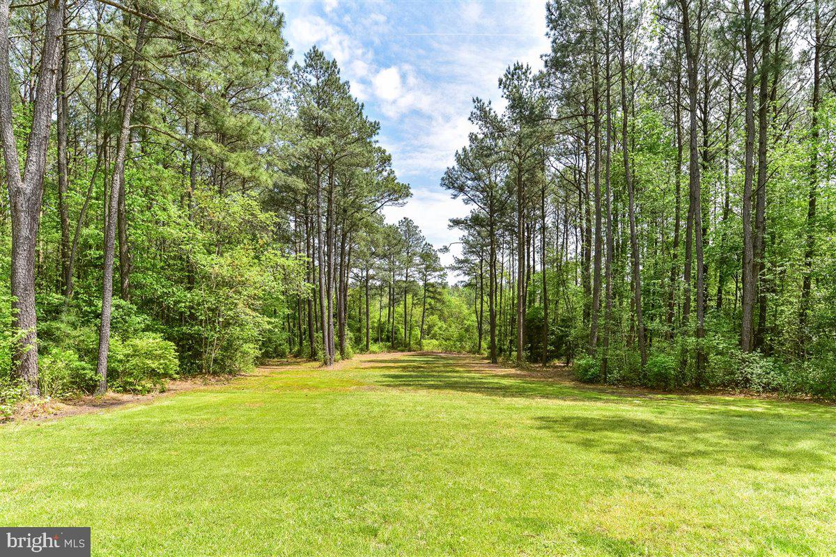 6745 Arvey Road Parsonsburg, MD 21849 - Photo 82 of 95 Gallery Image 82