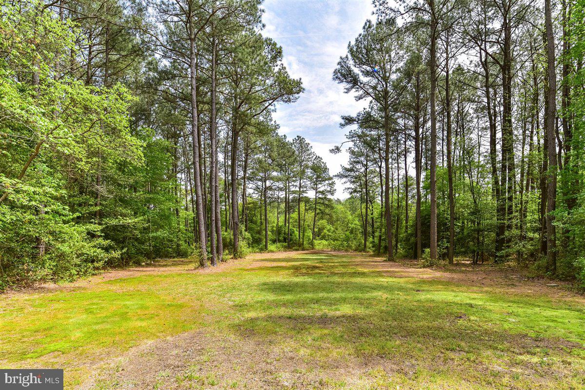 6745 Arvey Road Parsonsburg, MD 21849 - Photo 83 of 95 Gallery Image 83