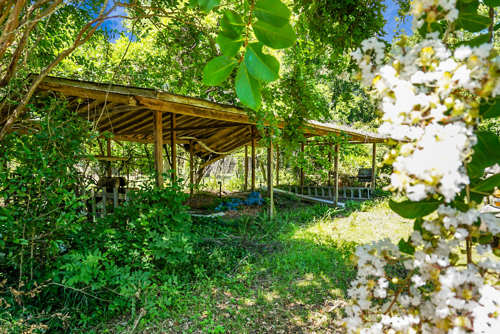 4512 Carolina Highway Denmark, SC 29042 - Photo 46 of 56 DSC03872