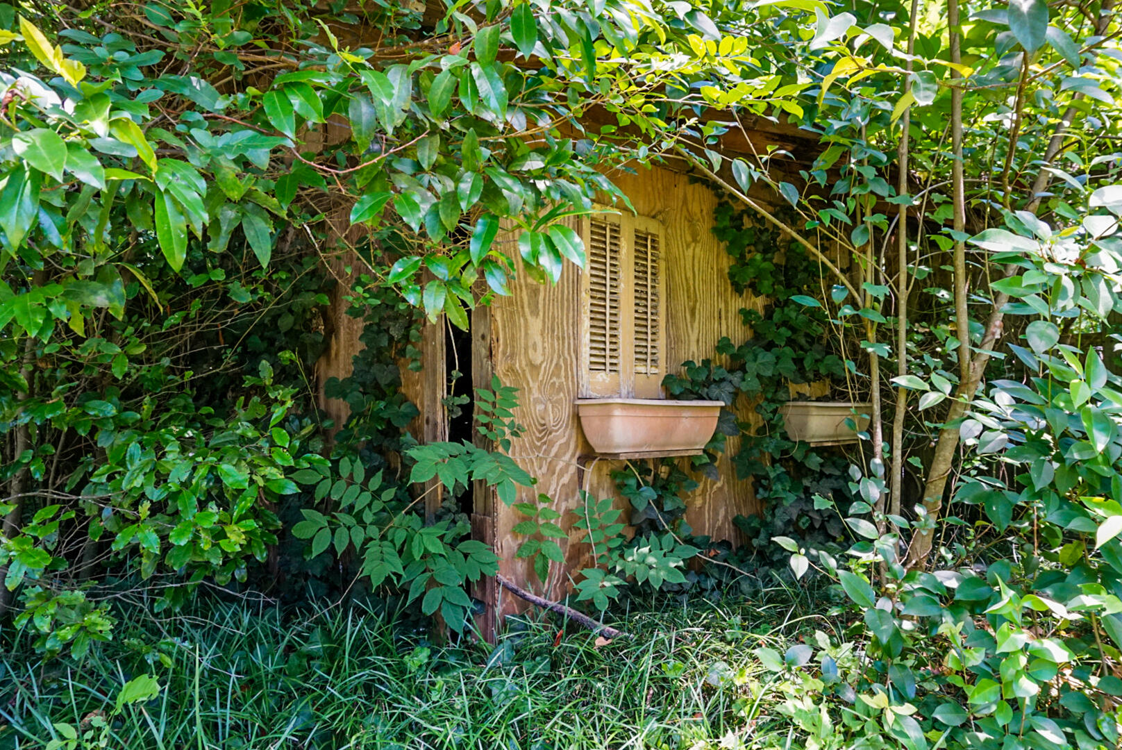 4512 Carolina Highway Denmark, SC 29042 - Photo 49 of 56 DSC03884