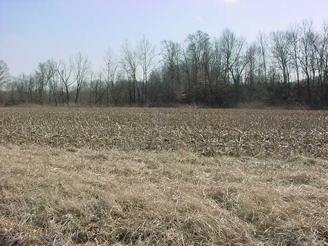 0 West St Rd 42 Poland, IN 47868 - Photo 3 of 5 Gallery Image 3