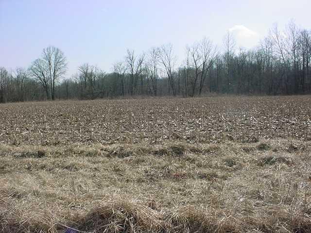 0 West St Rd 42 Poland, IN 47868 - Photo 4 of 5 Gallery Image 4
