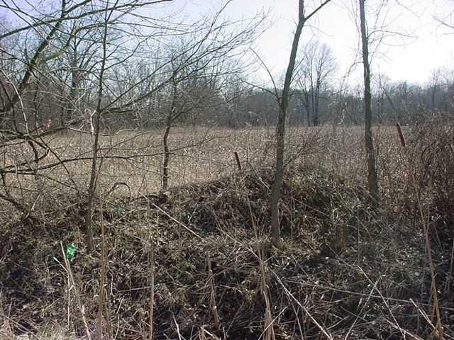 0 West St Rd 42 Poland, IN 47868 - Photo 5 of 5 Gallery Image 5