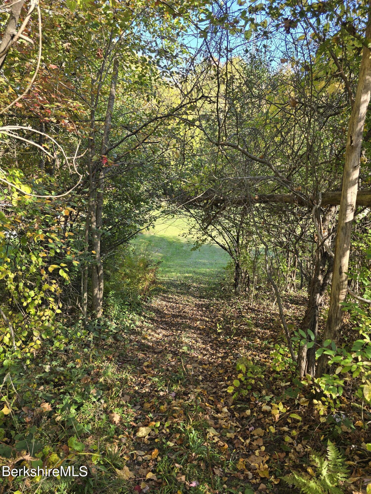 219 W Road Adams, MA 01220 - Photo 13 of 25 1000020109