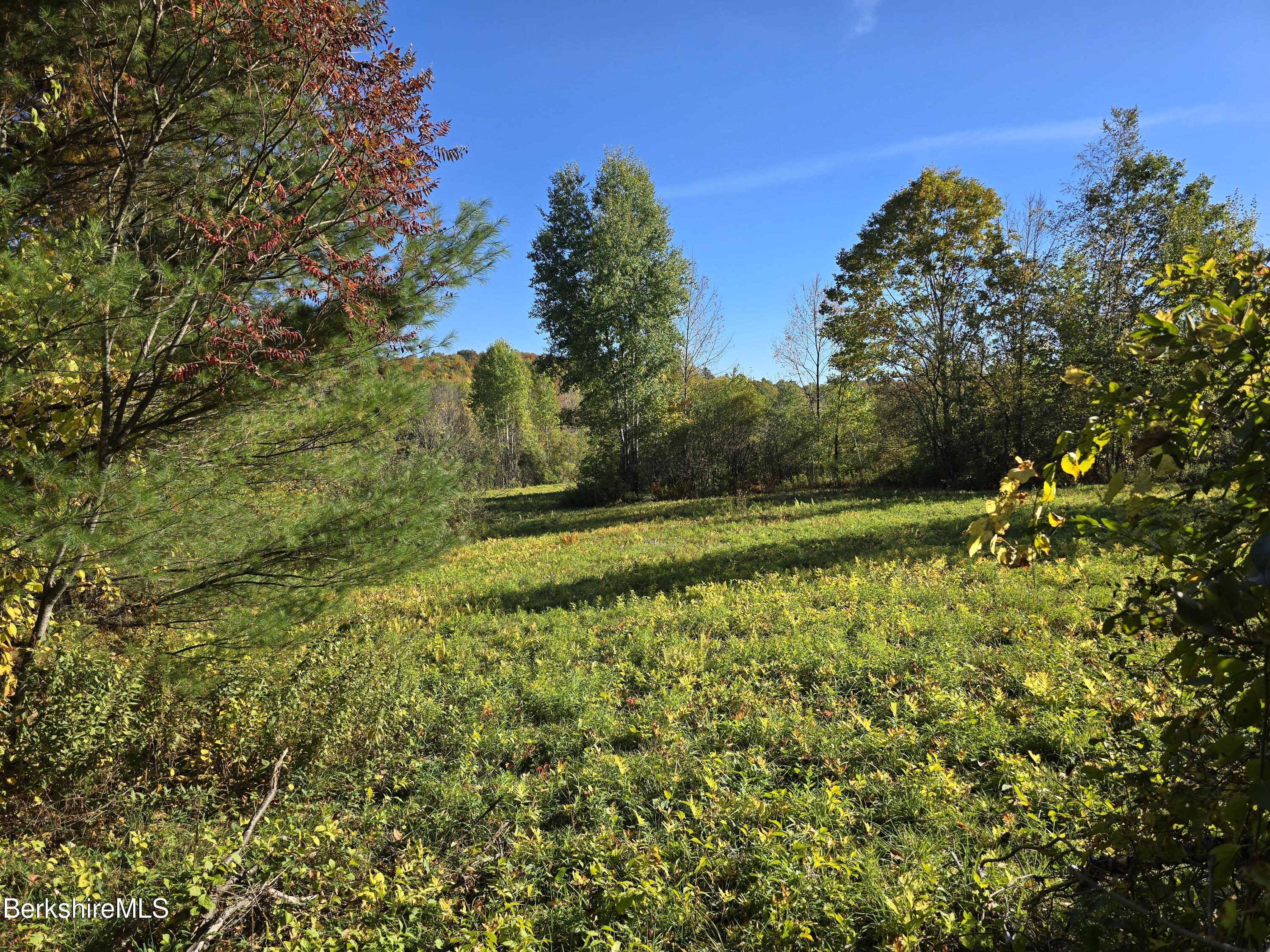 219 W Road Adams, MA 01220 - Photo 16 of 25 1000020106