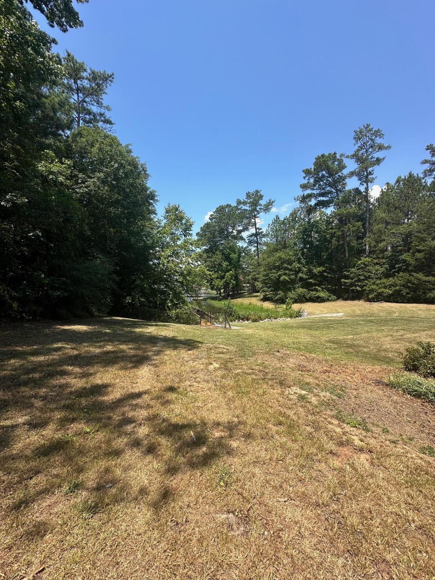 520 South Point Drive Gilbert, SC 29054 - Photo 63 of 118