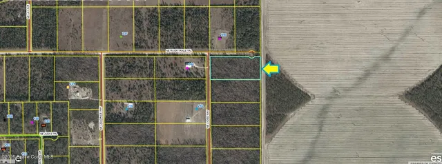 $52,500 | 0 Northeast Vacant Ne River Trace Trail, Lee, FL 32059