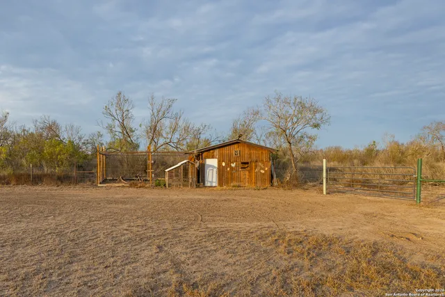 a big yard with tree s