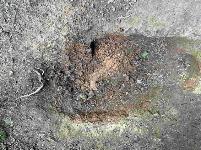 a view of outdoor space and trees