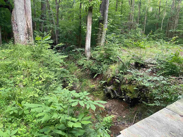 $275,000 | 495 421st Highway, Sardis, TN 38371