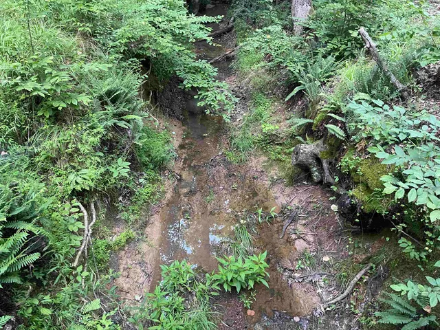 $275,000 | 495 421st Highway, Sardis, TN 38371