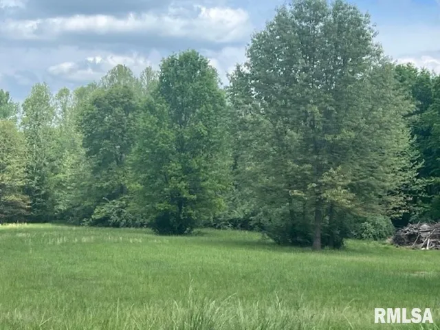 a view of a grassy field with trees