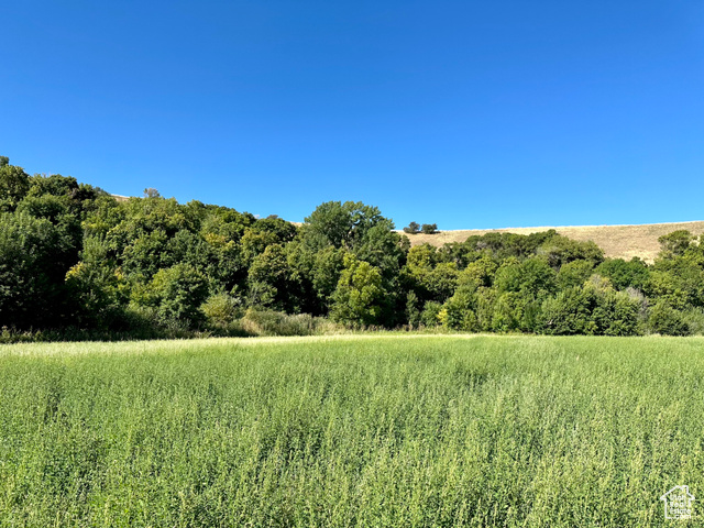 5025 South Hollow Road, Unit 47 Logan, UT 84321 - Photo 7 of 7 View of serene landscape