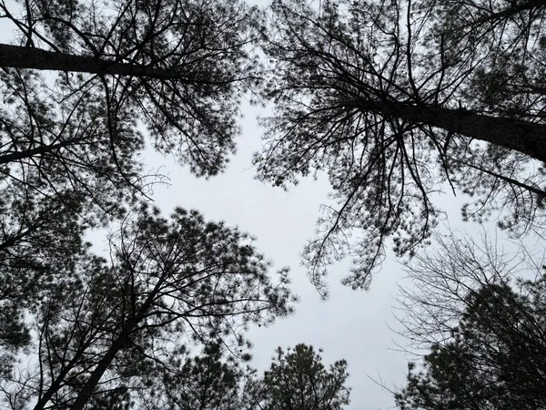 a view of lake with outside space