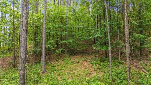 a view of outdoor space and tree
