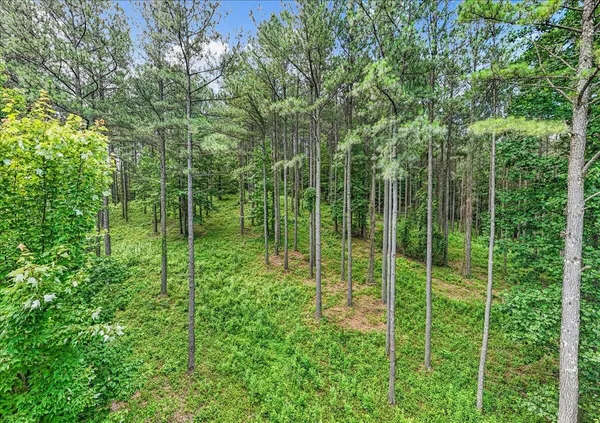 a view of outdoor space and trees