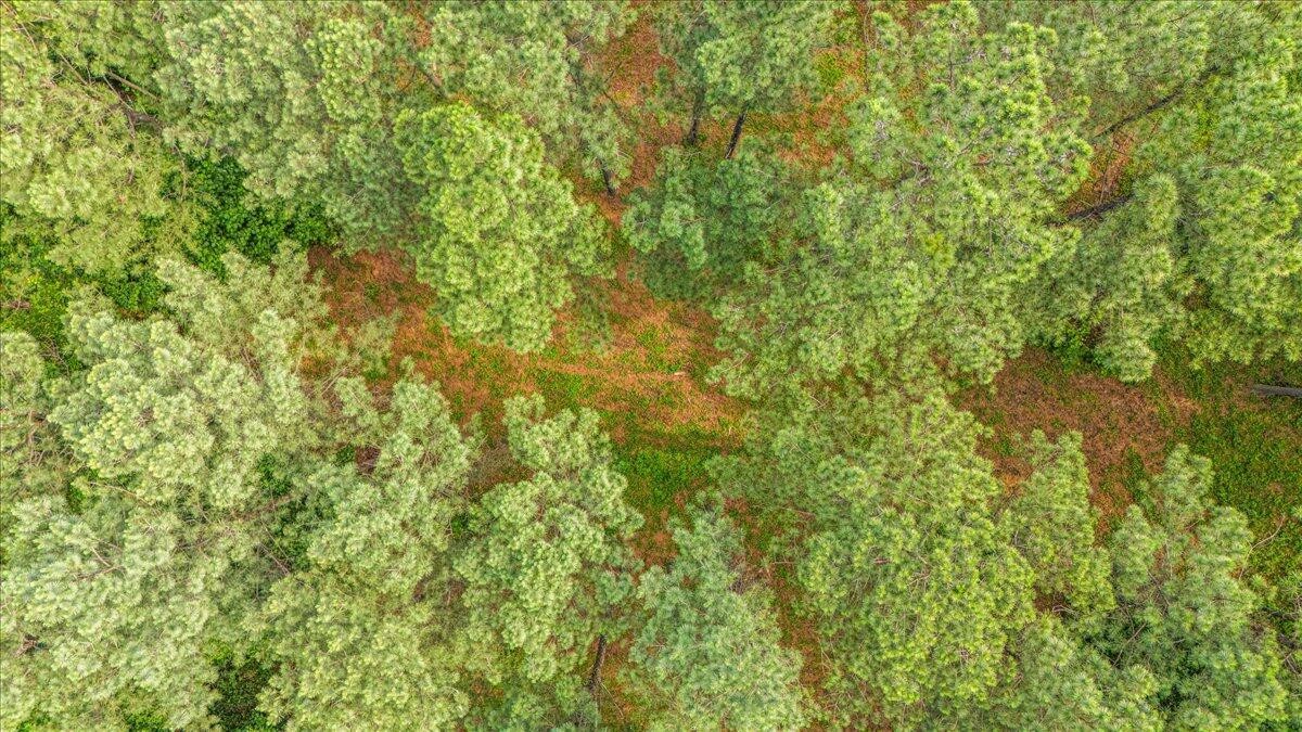 3715 Split Rail Way Guild, TN 37340 - Photo 14 of 41