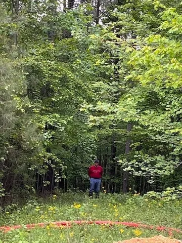 a view of a wooden deck with a small cabin