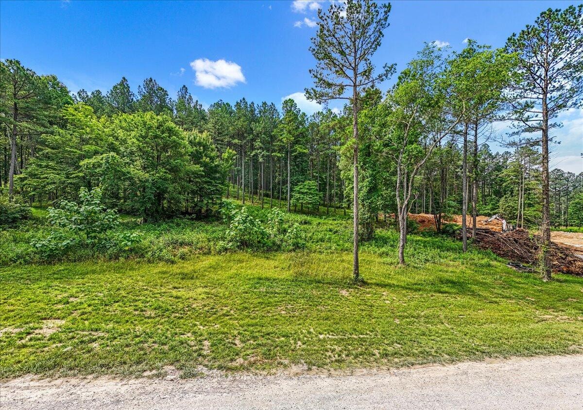 3715 Split Rail Way Guild, TN 37340 - Photo 2 of 32 a view of a golf course with a tree