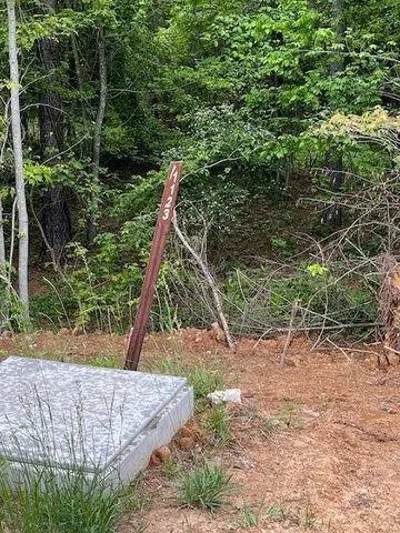 a view of backyard with green space