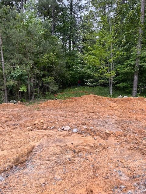 3715 Split Rail Way Guild, TN 37340 - Photo 25 of 32 a view of backyard with green space