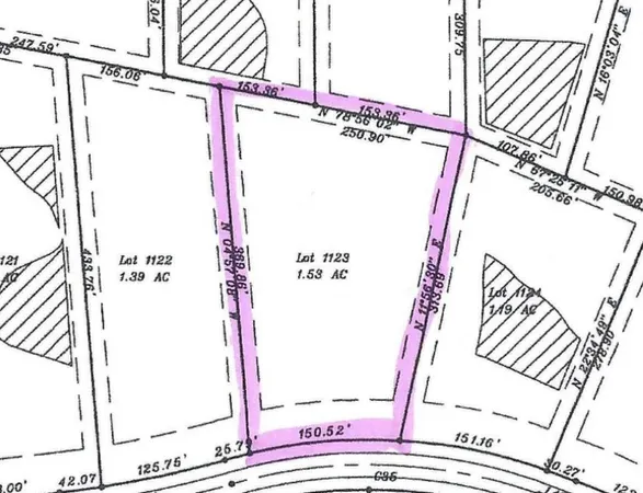 a flag is sitting in the middle of a forest