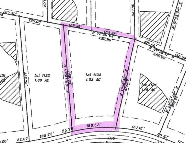 a flag is sitting in the middle of a forest