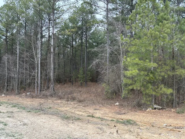 $260,000 | 3715 Split Rail Way, Guild, TN 37340