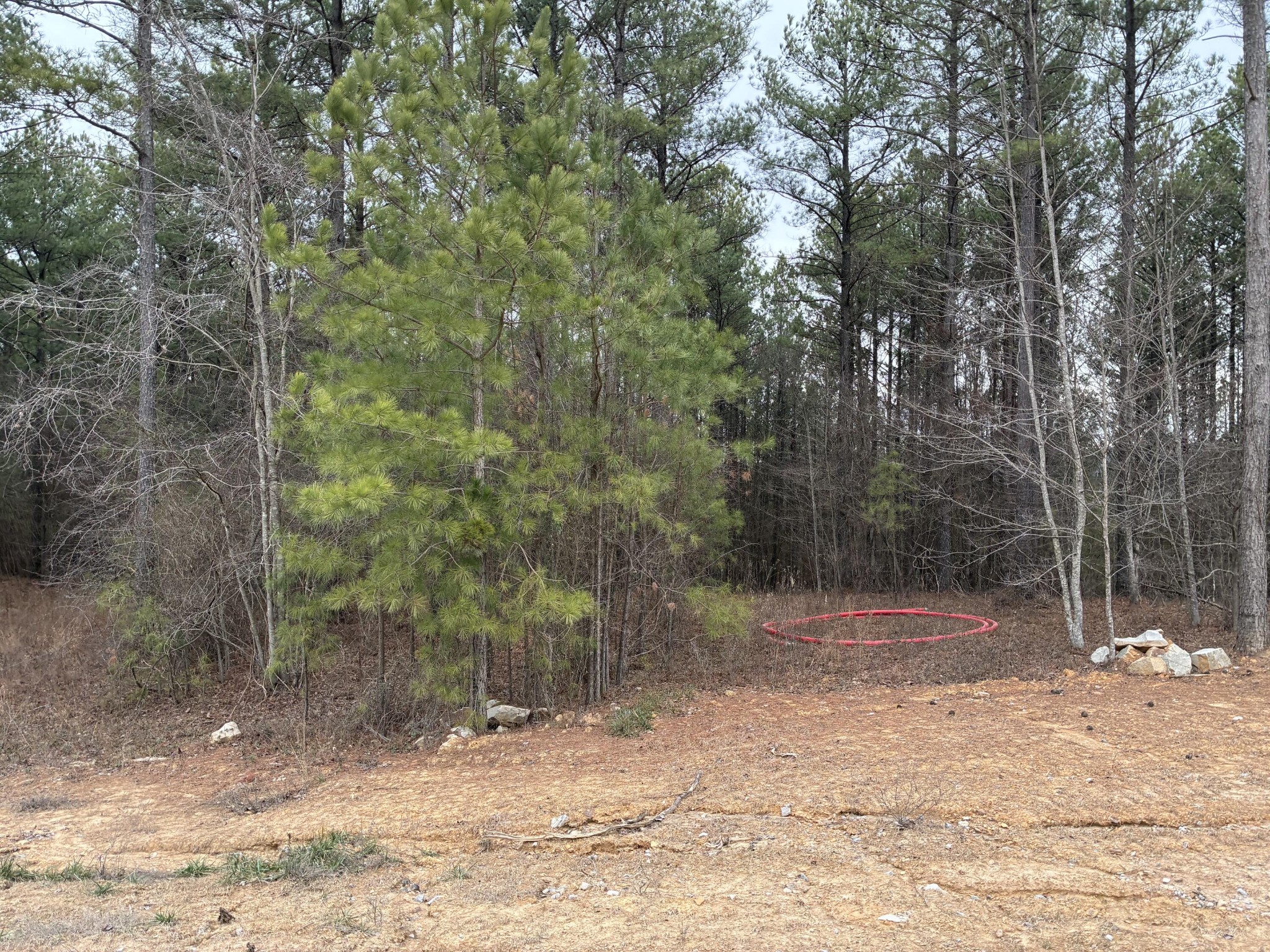 3715 Split Rail Way Guild, TN 37340 - Photo 40 of 41 a view of water covered with trees