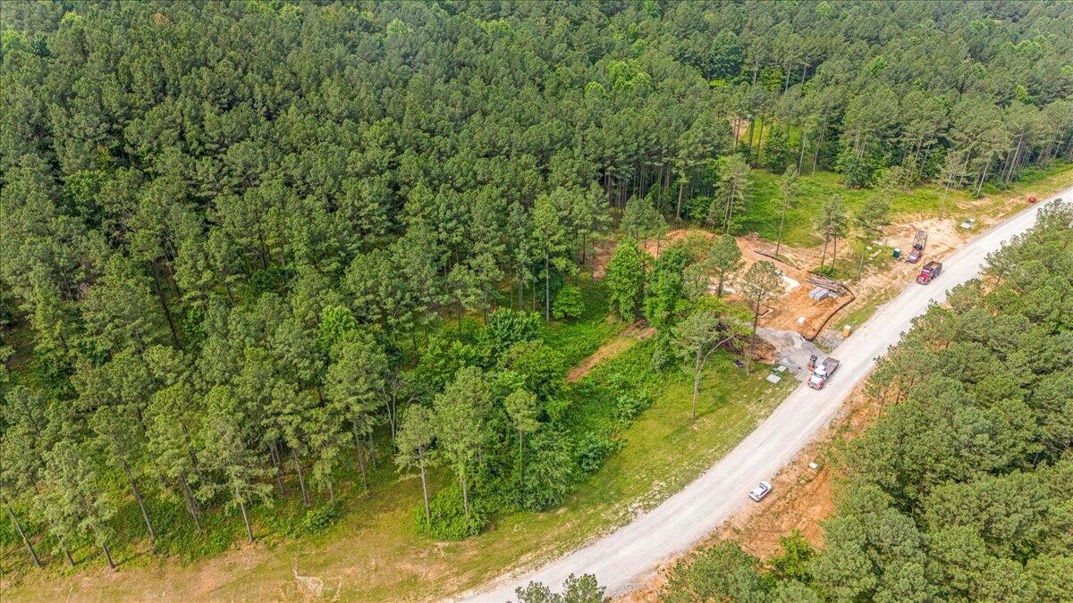3715 Split Rail Way Guild, TN 37340 - Photo 5 of 32 a view of a yard with a tree