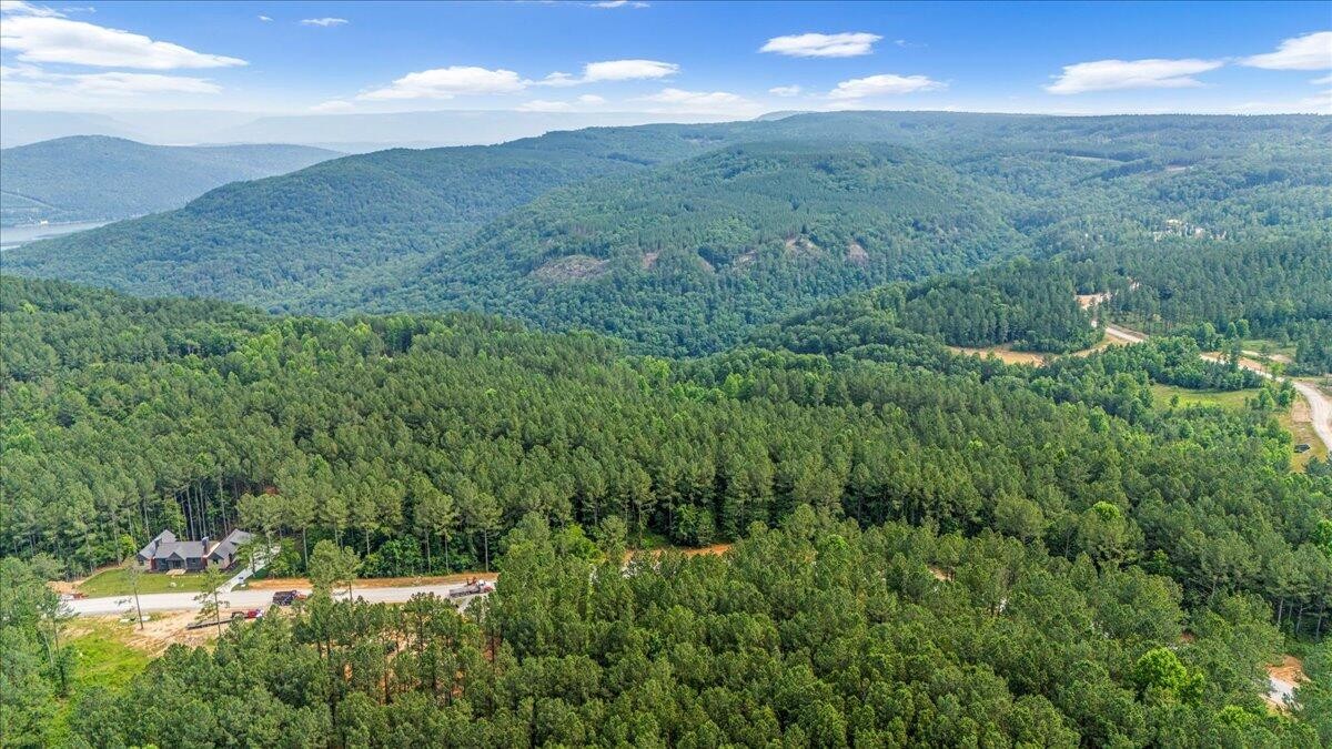 3715 Split Rail Way Guild, TN 37340 - Photo 9 of 32 a view of a city with lush green forest